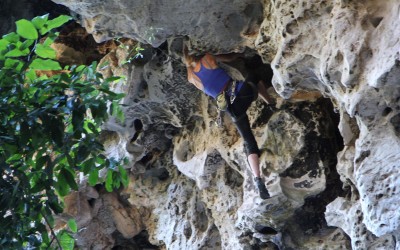 Climbing laos