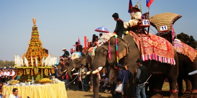 Pachyderm party (Elephant festival)