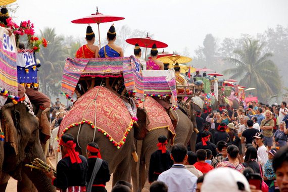 Pachyderm party (Elephant festival)