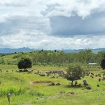 Plain of Jars Xieng Khoang